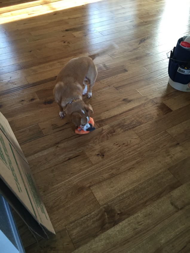 20160403_005654767_iOS