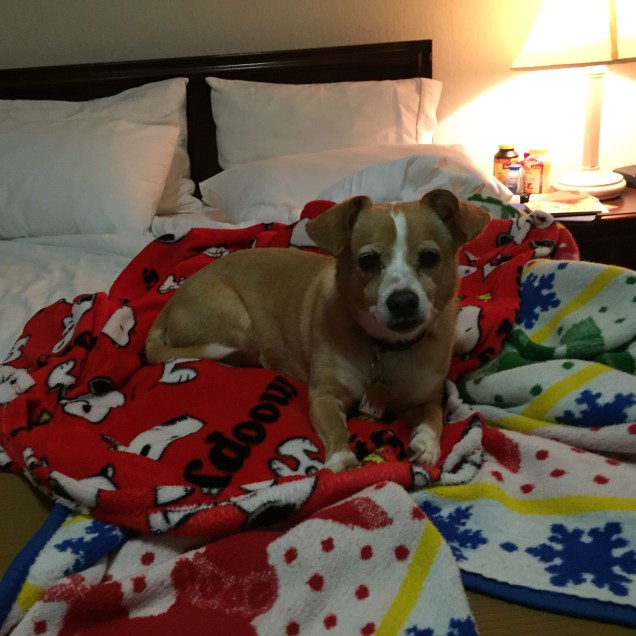 20160411_040010117_iOS