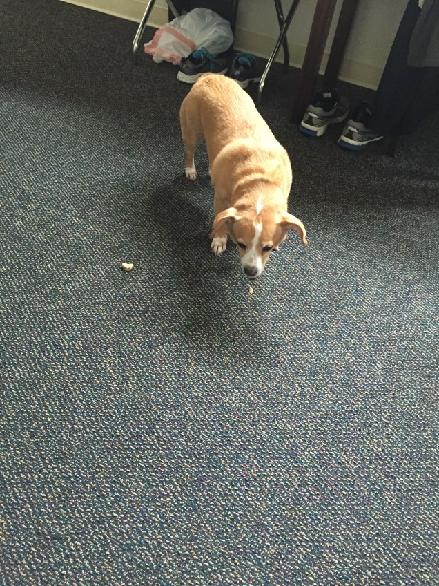 20160412_000447116_iOS