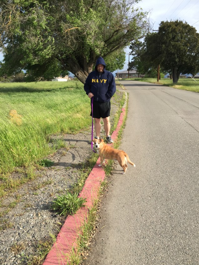 20160413_002501064_iOS